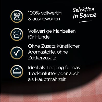 Cesar Feines im Frischebeutel Favoriten in Sauce 24 x 100 g