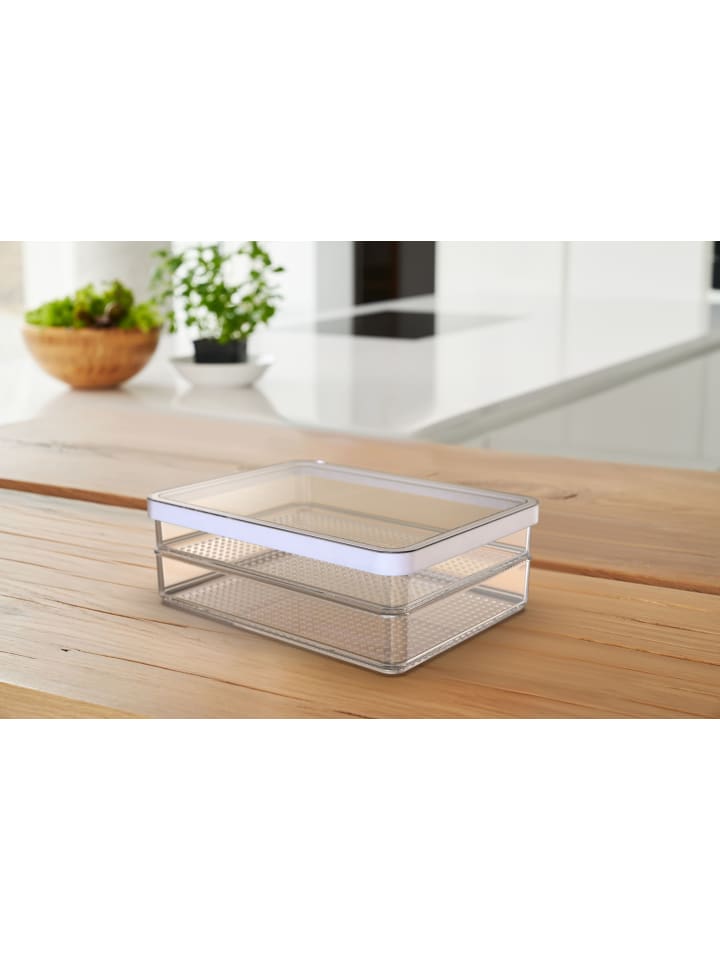 Rotho 2er Set Premium Dose Foodcenter 0,85 l LOFT günstig kaufen onesize