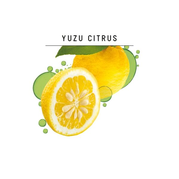 Guhl Fresh & Airy zsíroldó sampon 250ml