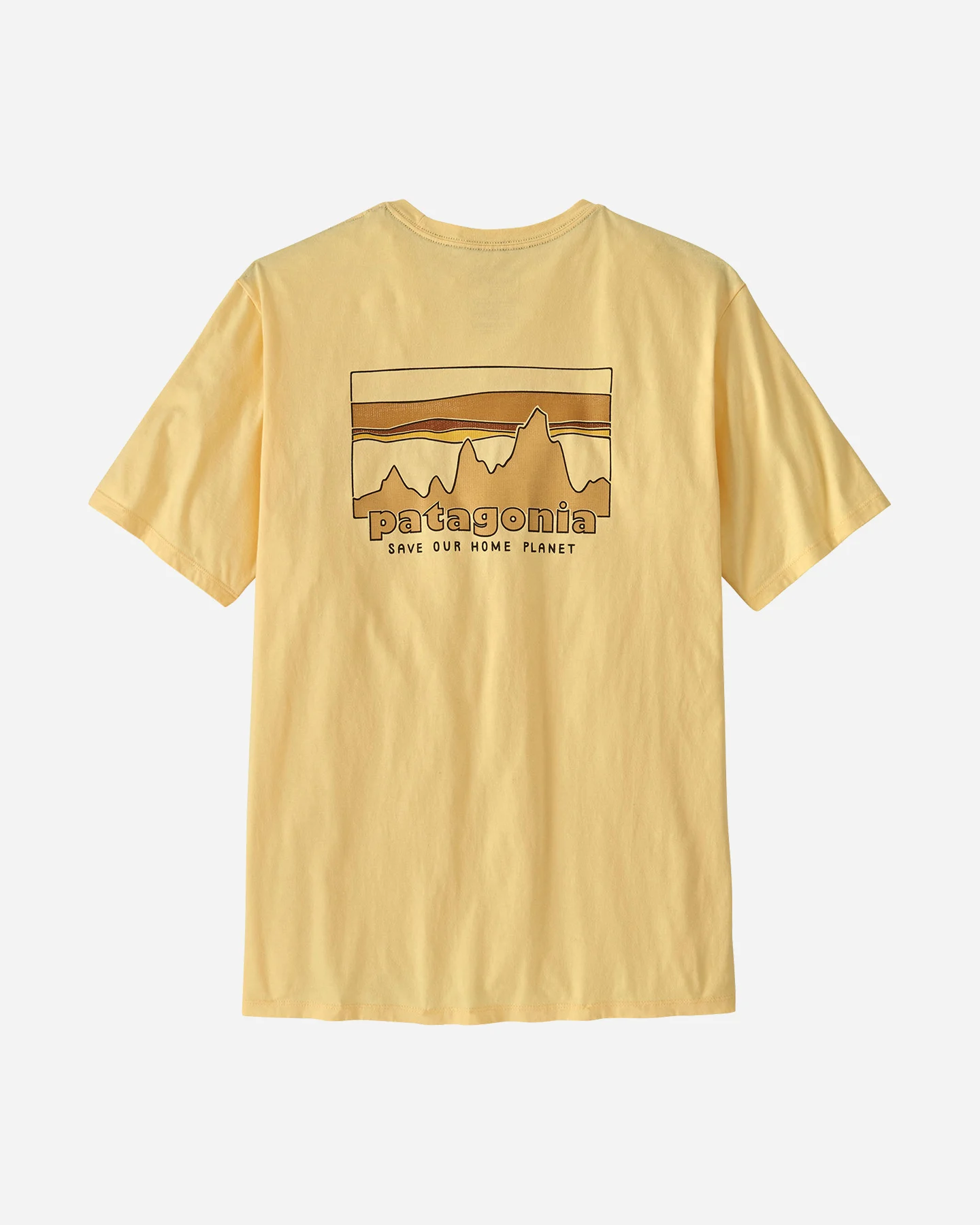 Koszulka Patagonia 73 Skyline Organic M 37534-BTRY