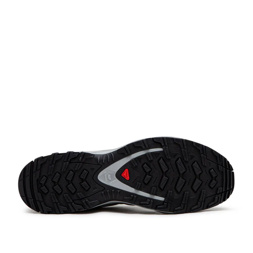 Salomon XA PRO 3D L41617500 / grau