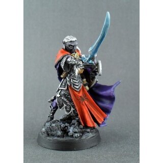 Loryn Stormblade, Elf (REA02849)