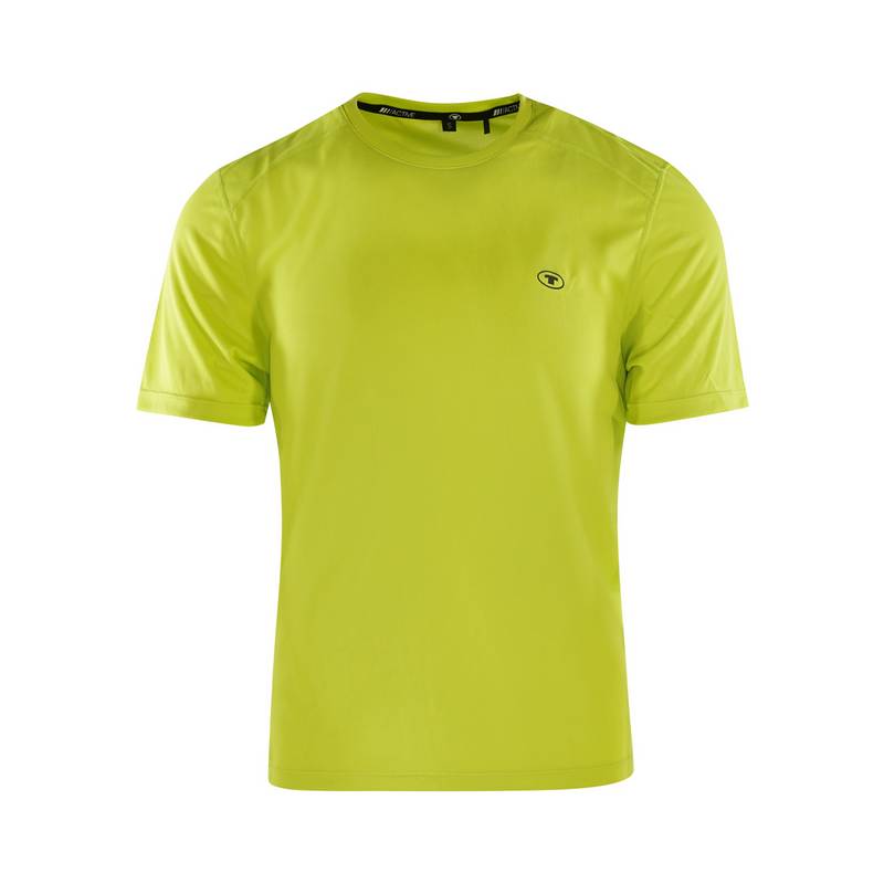 TOM TAILOR T-Shirt Arne T-Shirt Herren