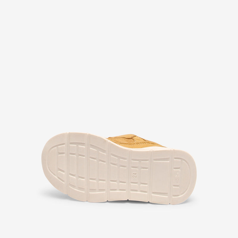 pax e honey - Gelb