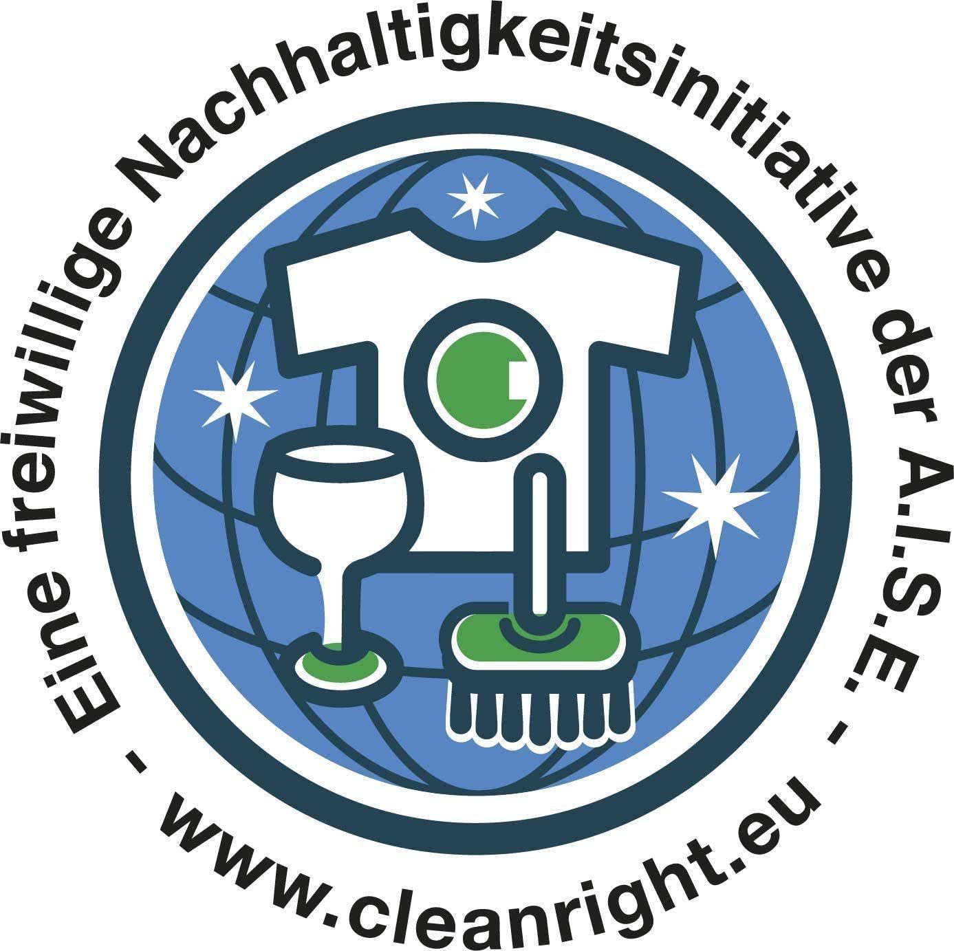 Dr. Beckmann Teppich Flecken-Bürste, hartnäckiger Flecken & Gerüche, 1x 650 ml Polsterreiniger