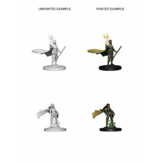Elf Female Druid: Nolzurs Marvelous Unpainted Minis