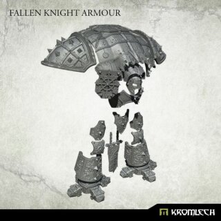 Fallen Knight Armour