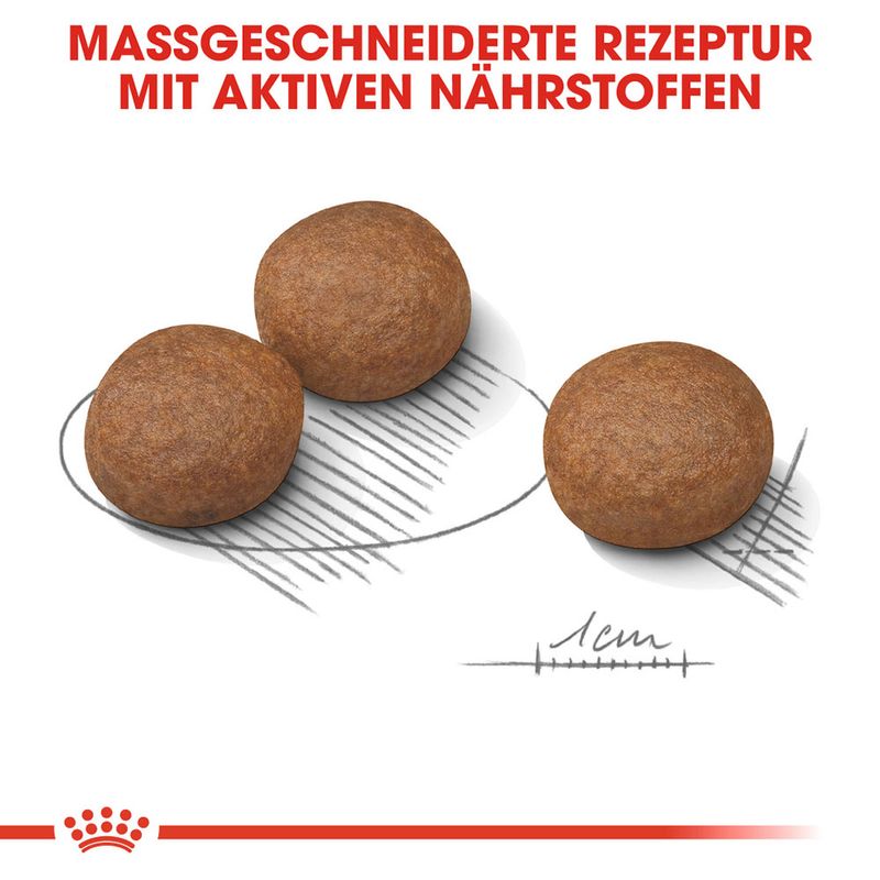 Royal Canin Digestive Care Medium zu TOP-Preisen | bitiba %