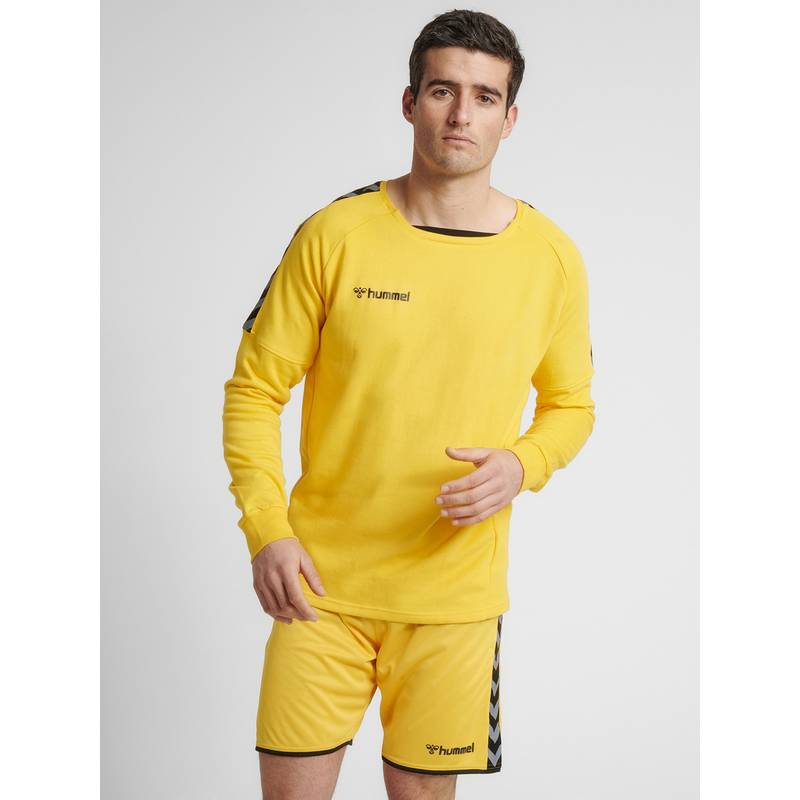 hummel hmlAUTHENTIC TRAINING SWEAT Sweatshirt Herren