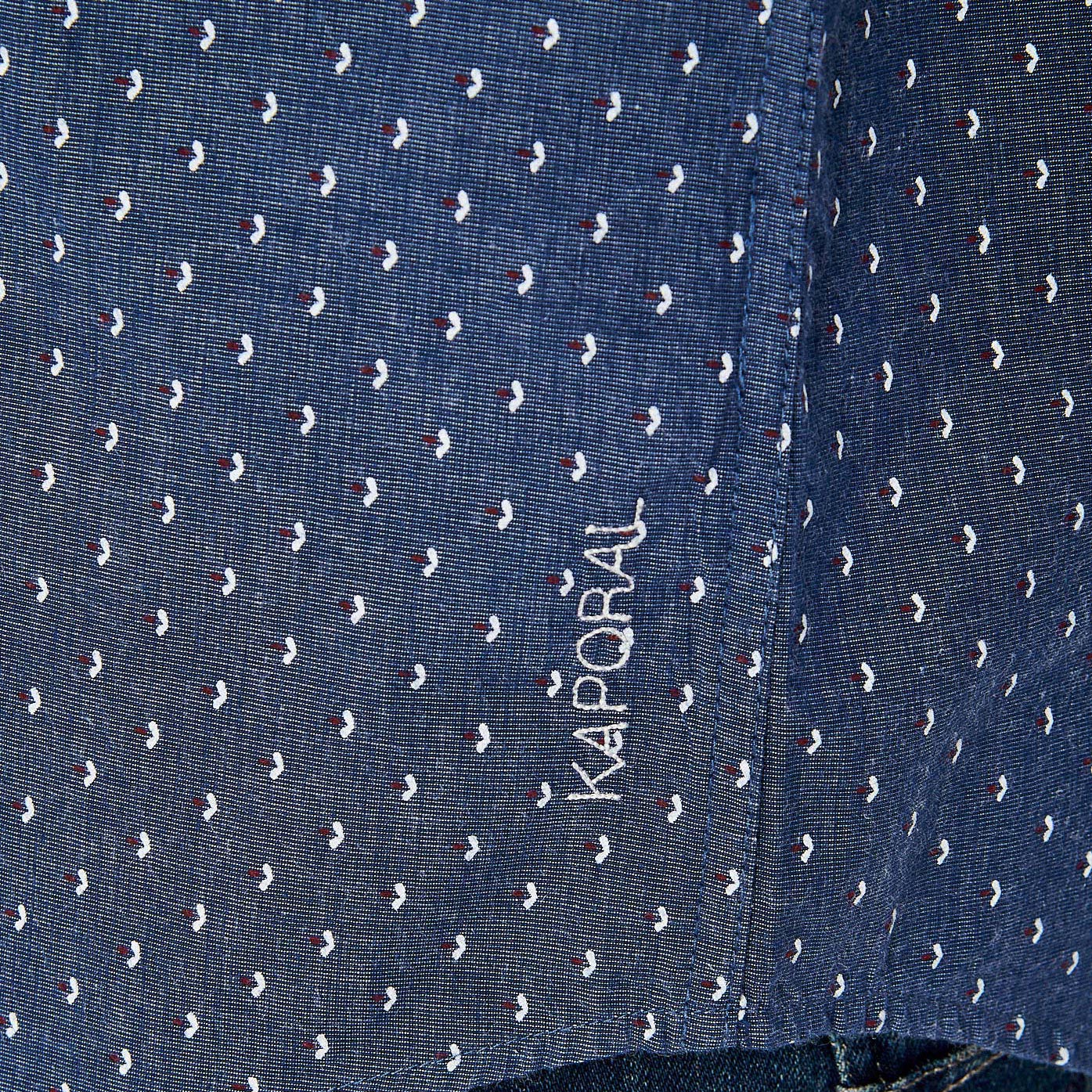 CHARL  Chemise bleue homme 100% coton bio