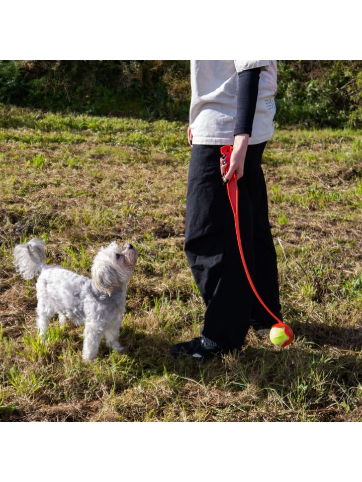 Intirilife Hunde Ballschleuder Ballwurfstab in Rot günstig kaufen onesize