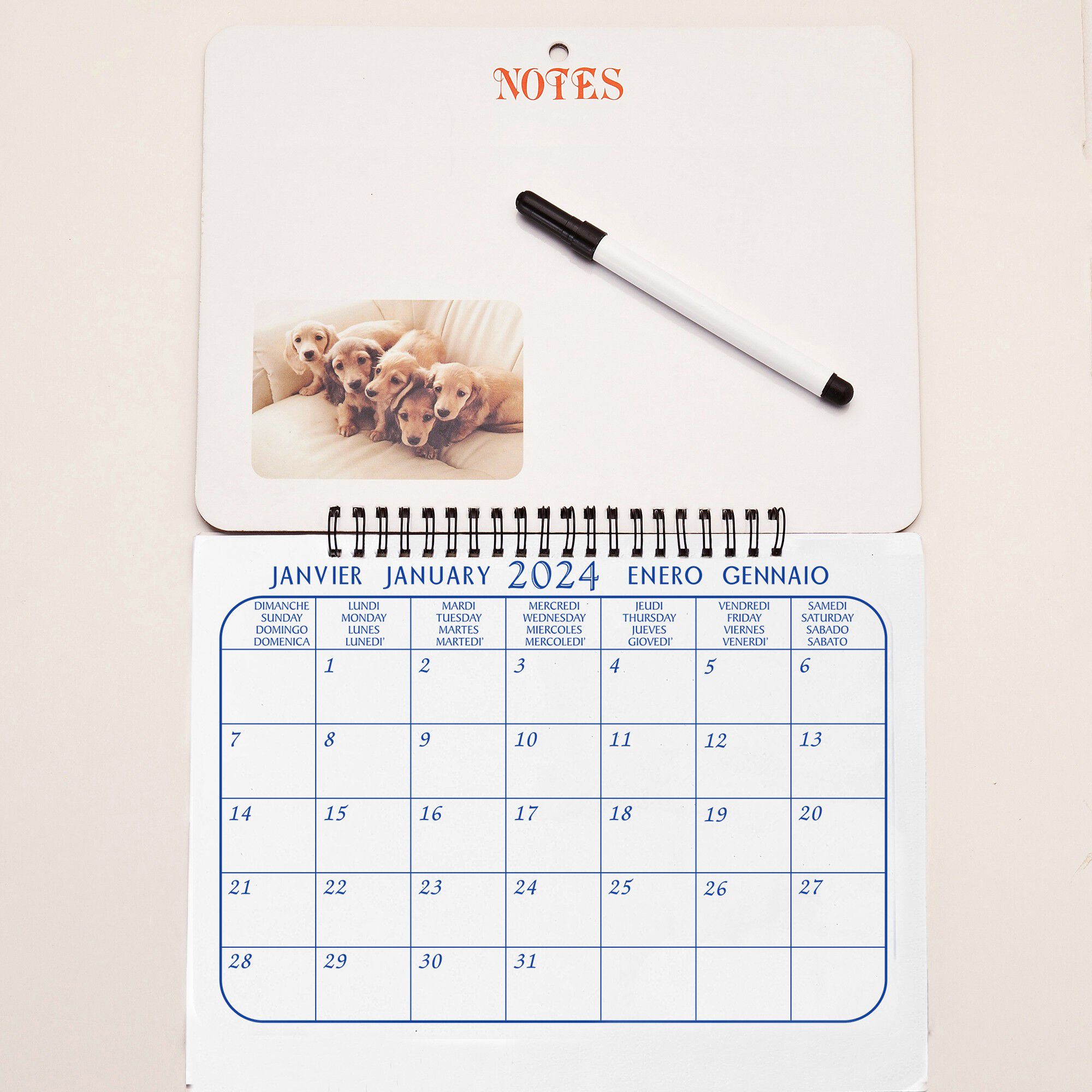 Calendrier mémo chiots 2024