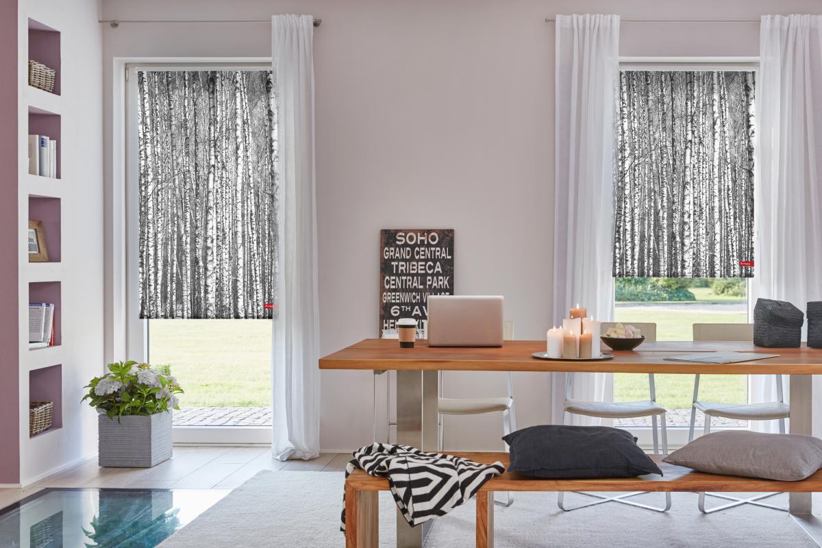 Lichtblick Rollo Klemmfix, ohne Bohren, blickdicht, Birken - Schwarz Weiß, 60 x 150 cm (B x L)