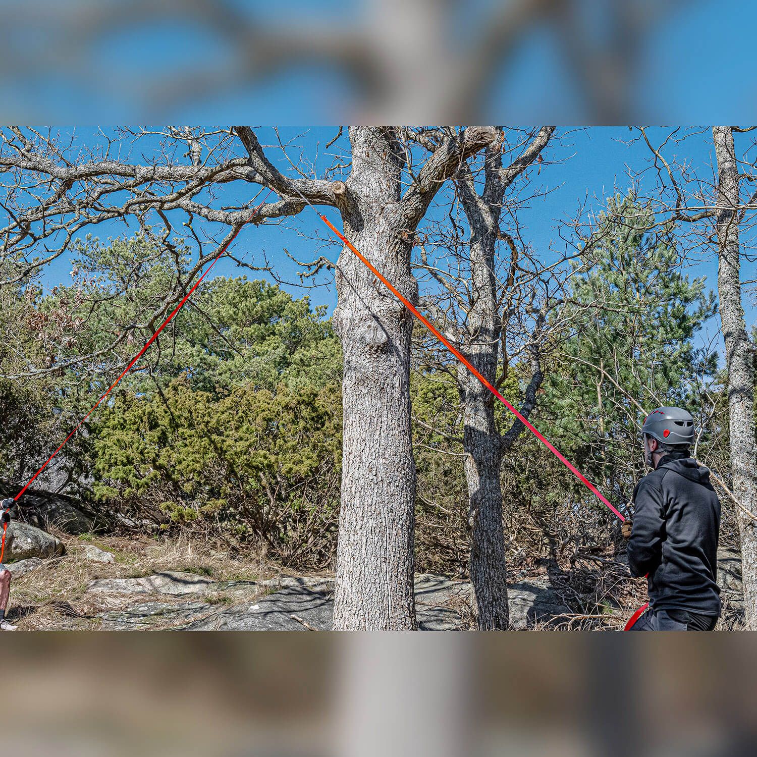 The Arborist V.2 Wurfsäge