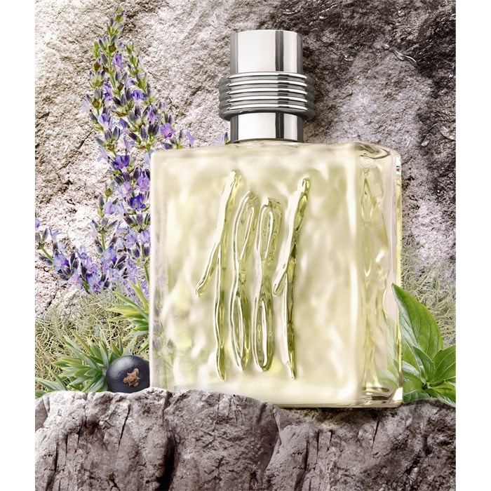 Eau de Toilette Spray