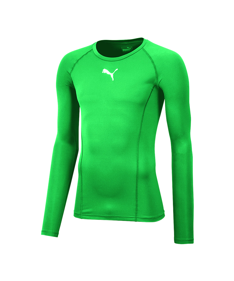 PUMA LIGA Baselayer Warm Longsleeve Kids F05