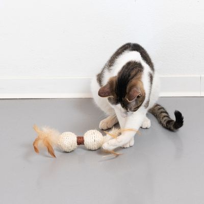 TIAKI Katzenspielzeug Sisal-Hantel Set