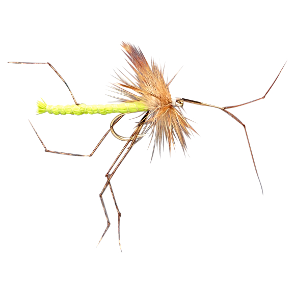 Dragon Fliegen-Sortiment Dry Daddies