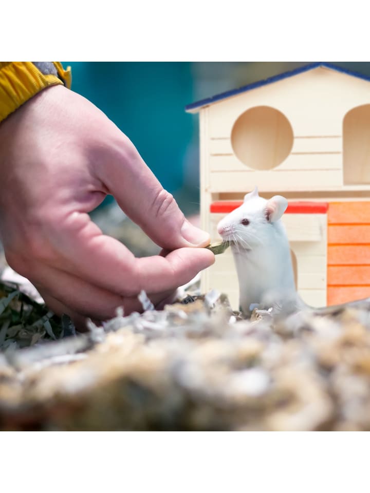 relaxdays Hamsterhaus in Bunt günstig kaufen onesize