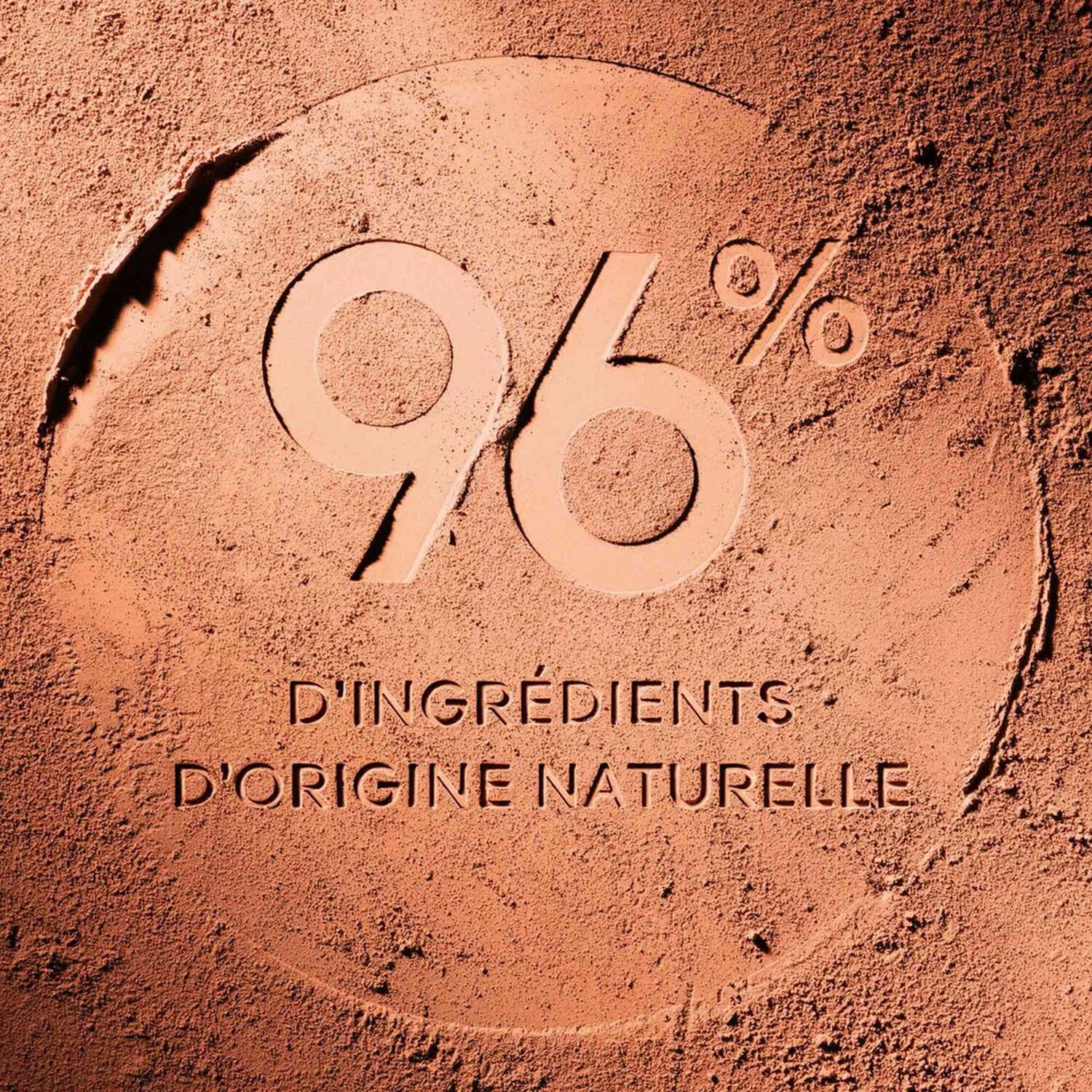 Guerlain Terracotta Light La poudre éclat bonne mine naturelle