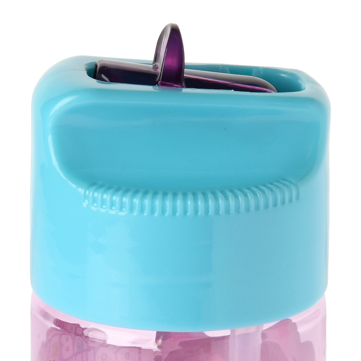 Gabby's Dollhouse Trinkflasche ca. 540 ml