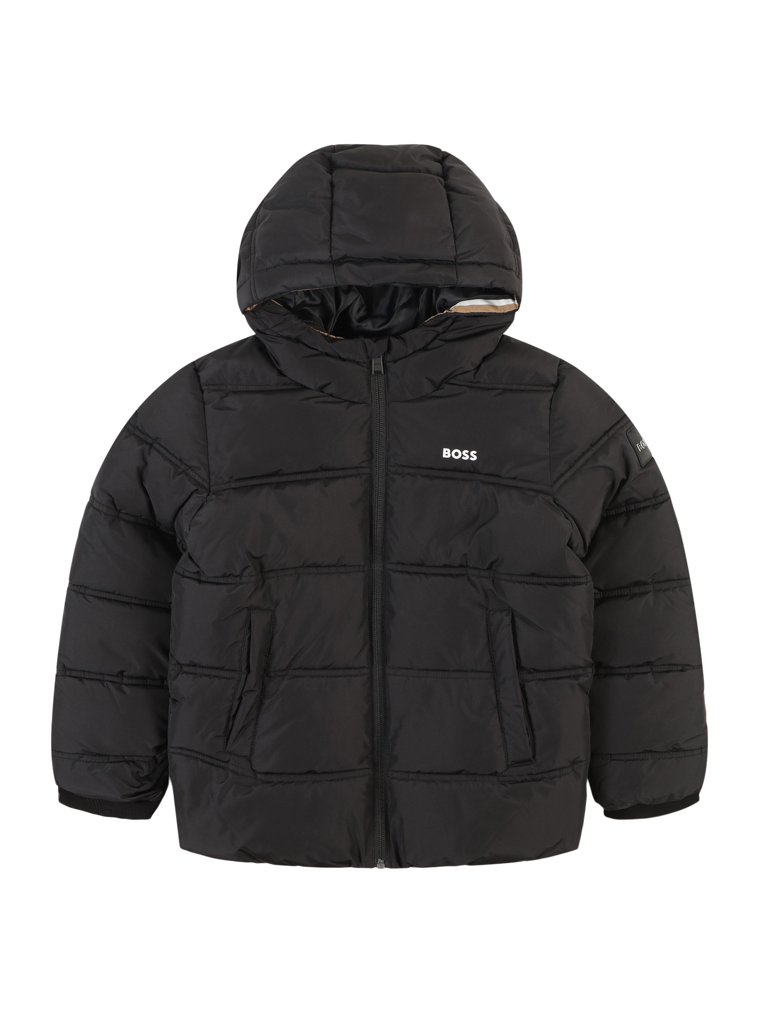 Winter Jacket
