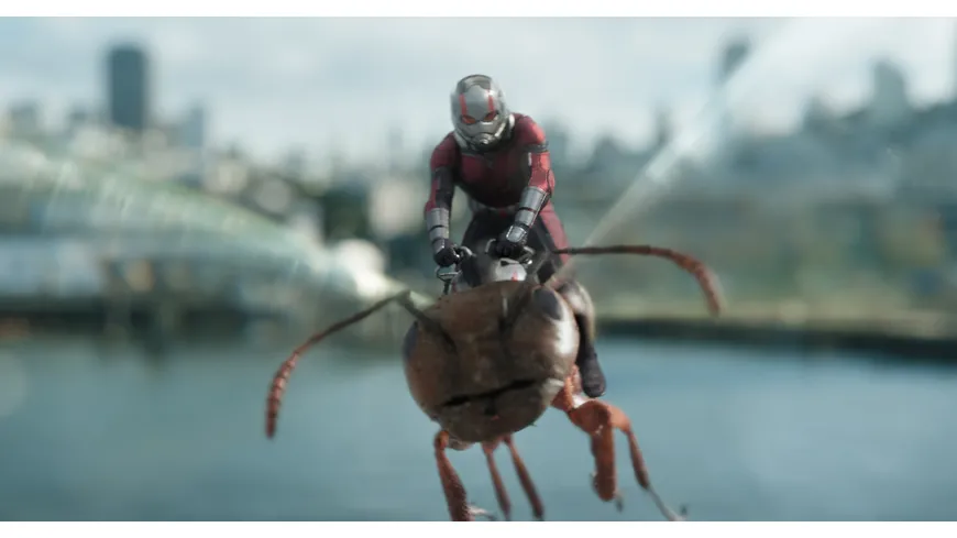 Ant-Man and the Wasp - Steelbook (4K Ultra HD) (+ Blu-ray 2D)