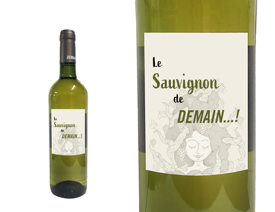Domaine de Gournier Demain! Sauvignon Blanc 2021 Languedoc-Roussillon Cévennes