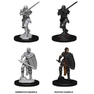 Female Human Fighter: Nolzurs Marvelous Unpainted Miniatures
