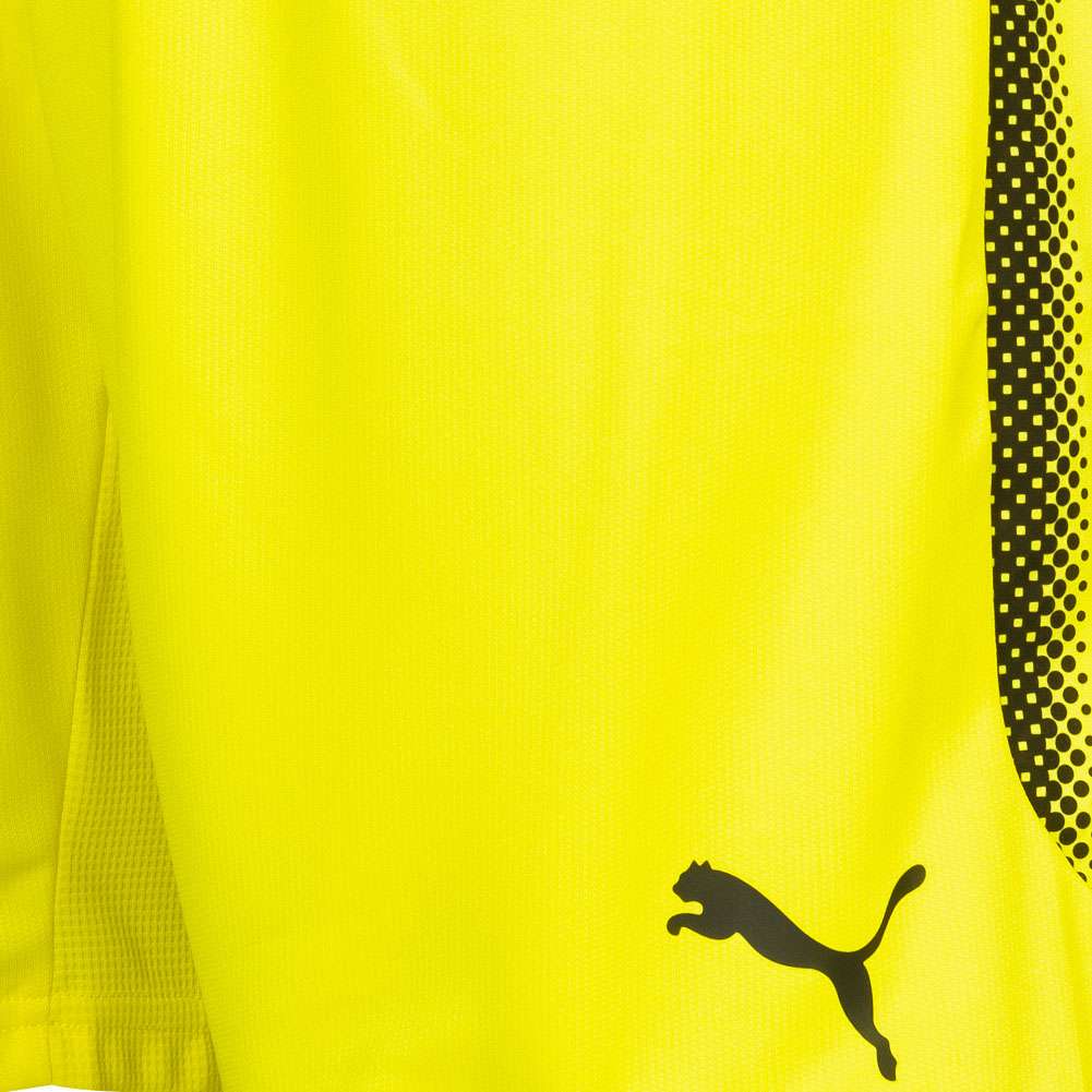 Grasshopper Club Zürich PUMA Shorts 753176-04