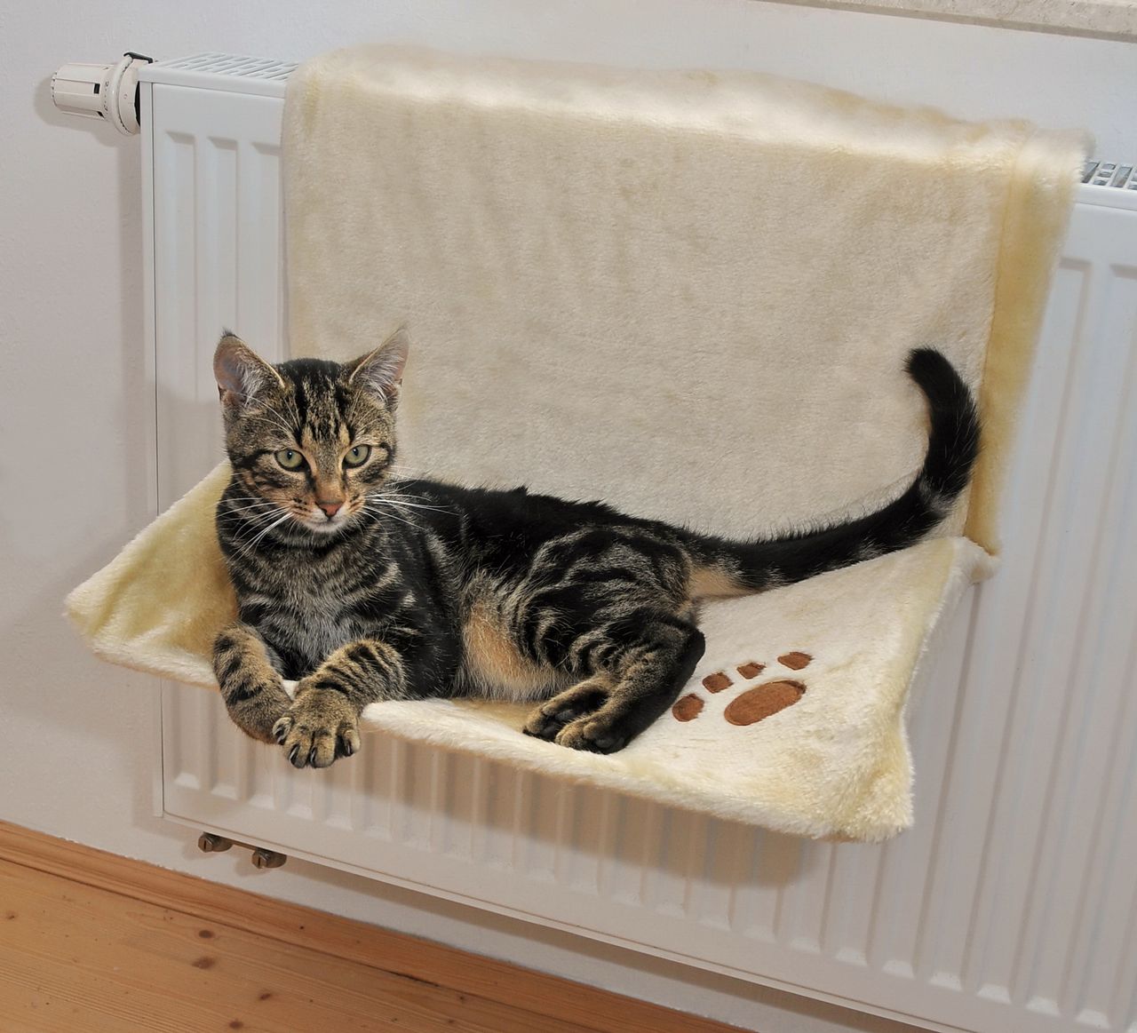 Silvio Design Katzen Heizkörperliege uni beige