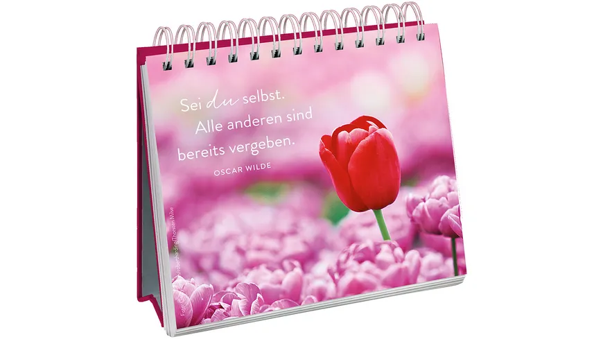 100 kleine Herzenswünsche für dich