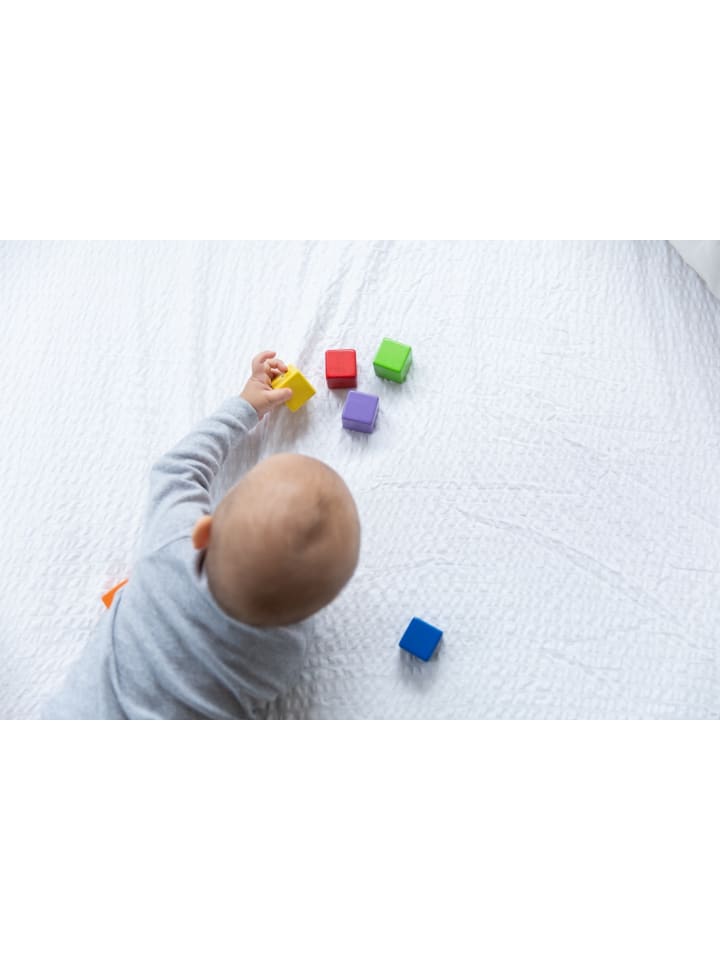 Plan Toys Sinnesklötze ab 18 Monate günstig kaufen onesize