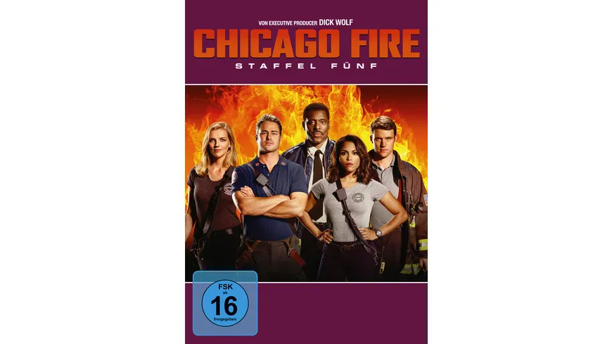 Chicago Fire - Staffel 5  [6 DVDs]