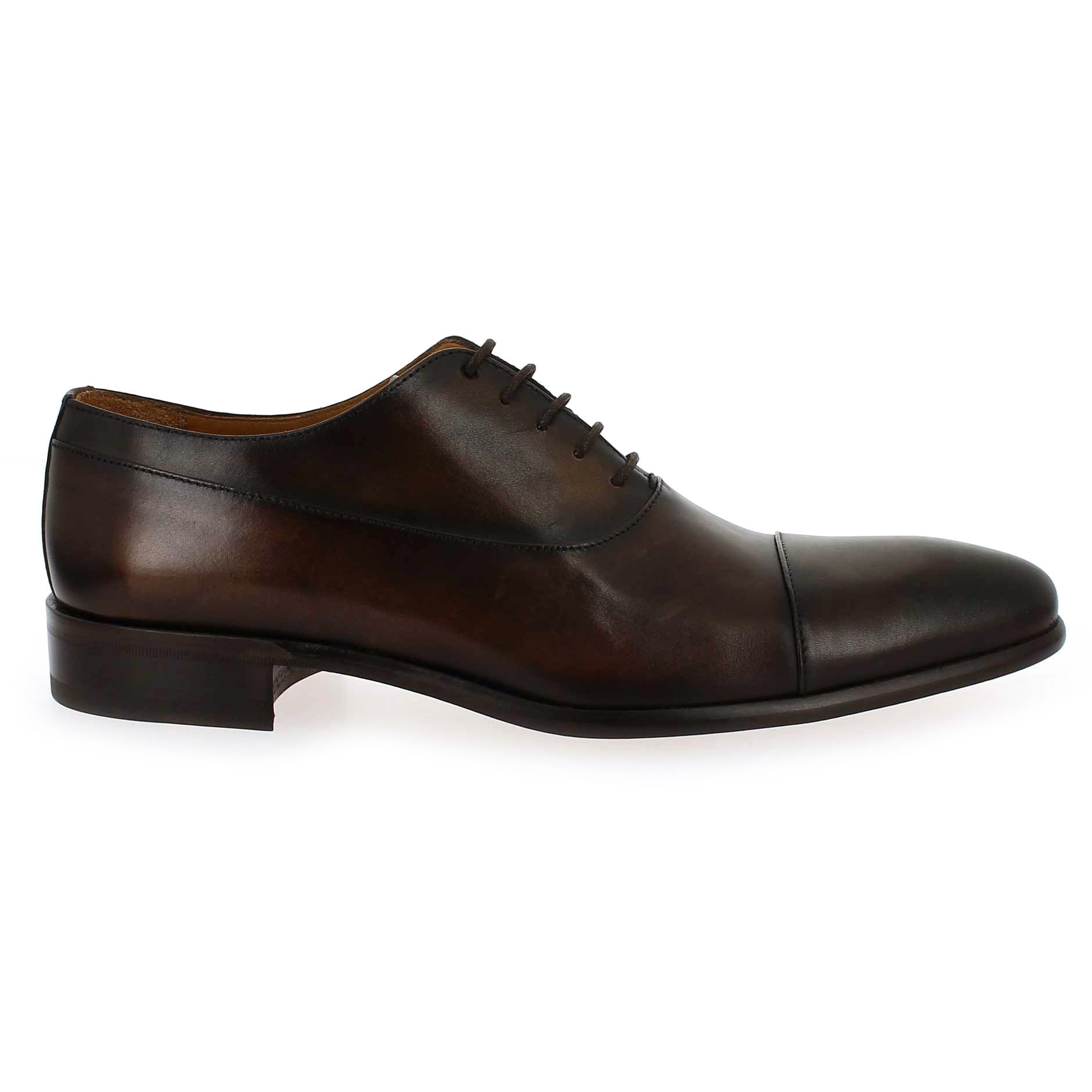 Paco Milan  3666 145 - Marron