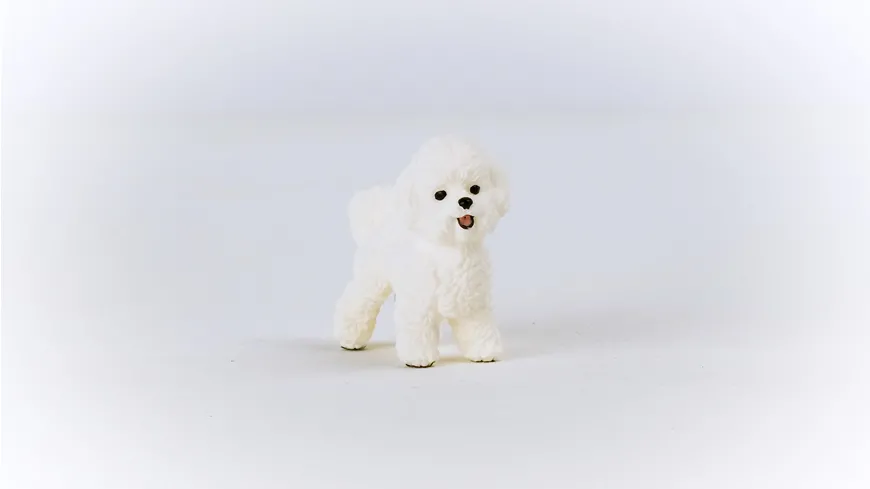 Schleich 13963 - Farm World - Bichon Frisé