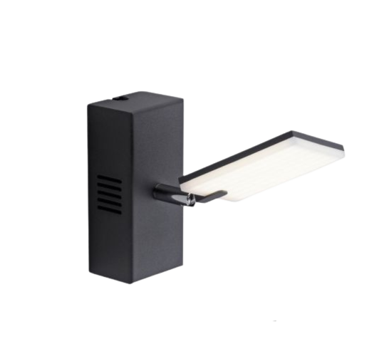 Paul Neuhaus LED Spot Pure-Mira 1-flg schwarz