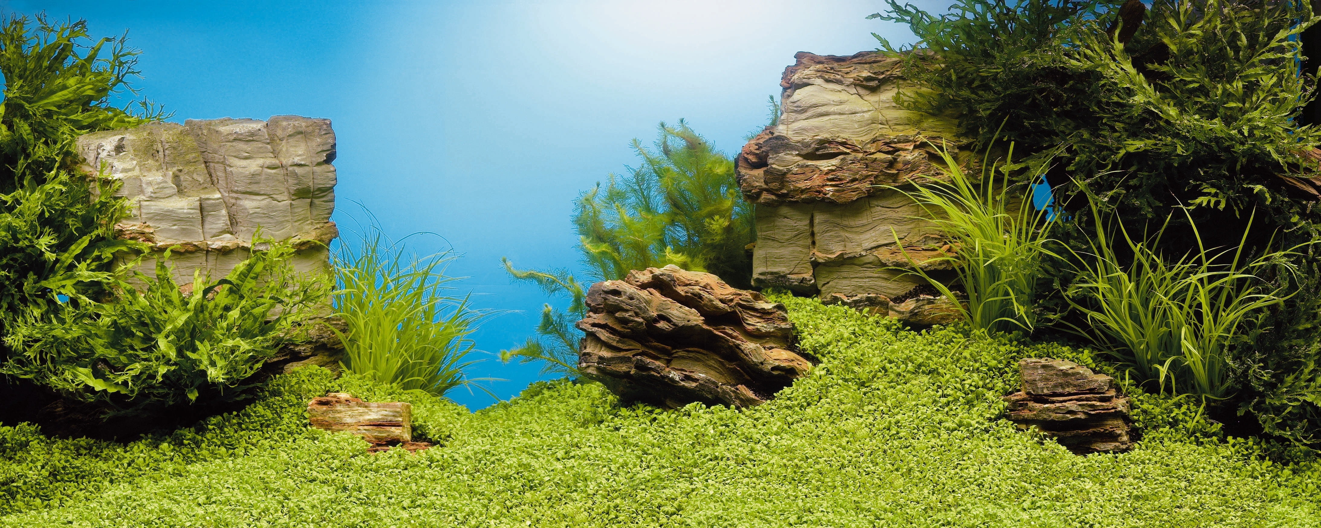 JUWEL Rückwände JUWEL Aquarienrückwand Unterwasserlandschaft
