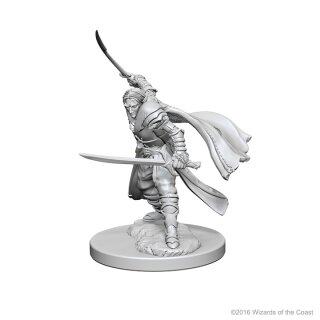 Elf Male Ranger: D&D Nolzurs Marvelous Unpainted Minis