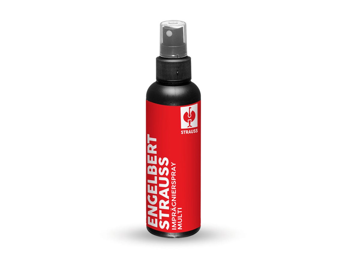 e.s. Schuh-Imprägnierspray multi
