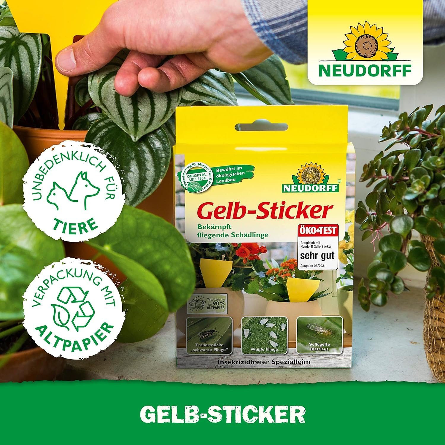 Neudorff Insektenfalle Gelb-Sticker, gegen kleine fliegende Schädlinge wie Trauermücken, insektizid frei