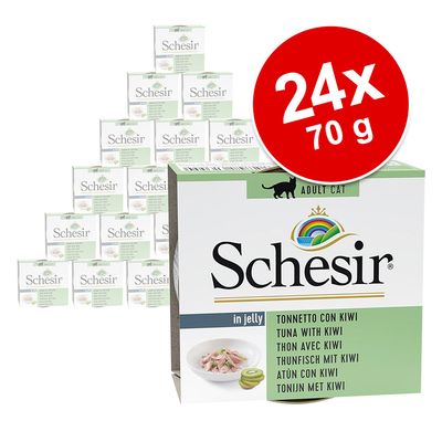Sparpaket Schesir Fruit 24 x 75 g