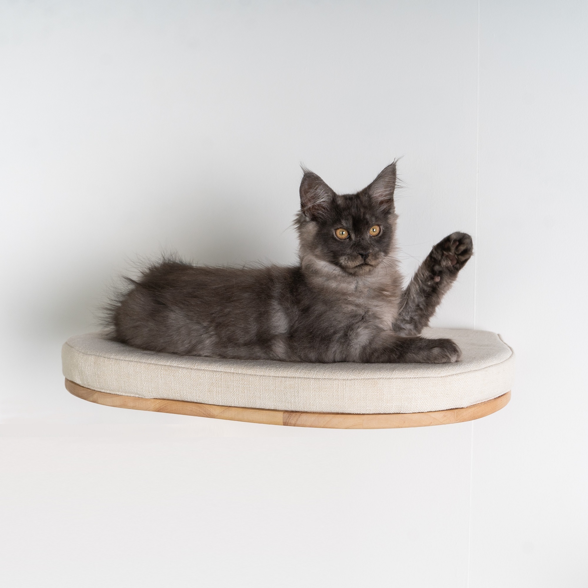 RHR Quality Katzenbetten & Katzensofas RHR Quality RHRQuality Wandmöbel Katzenbett de Luxe creme/ beige