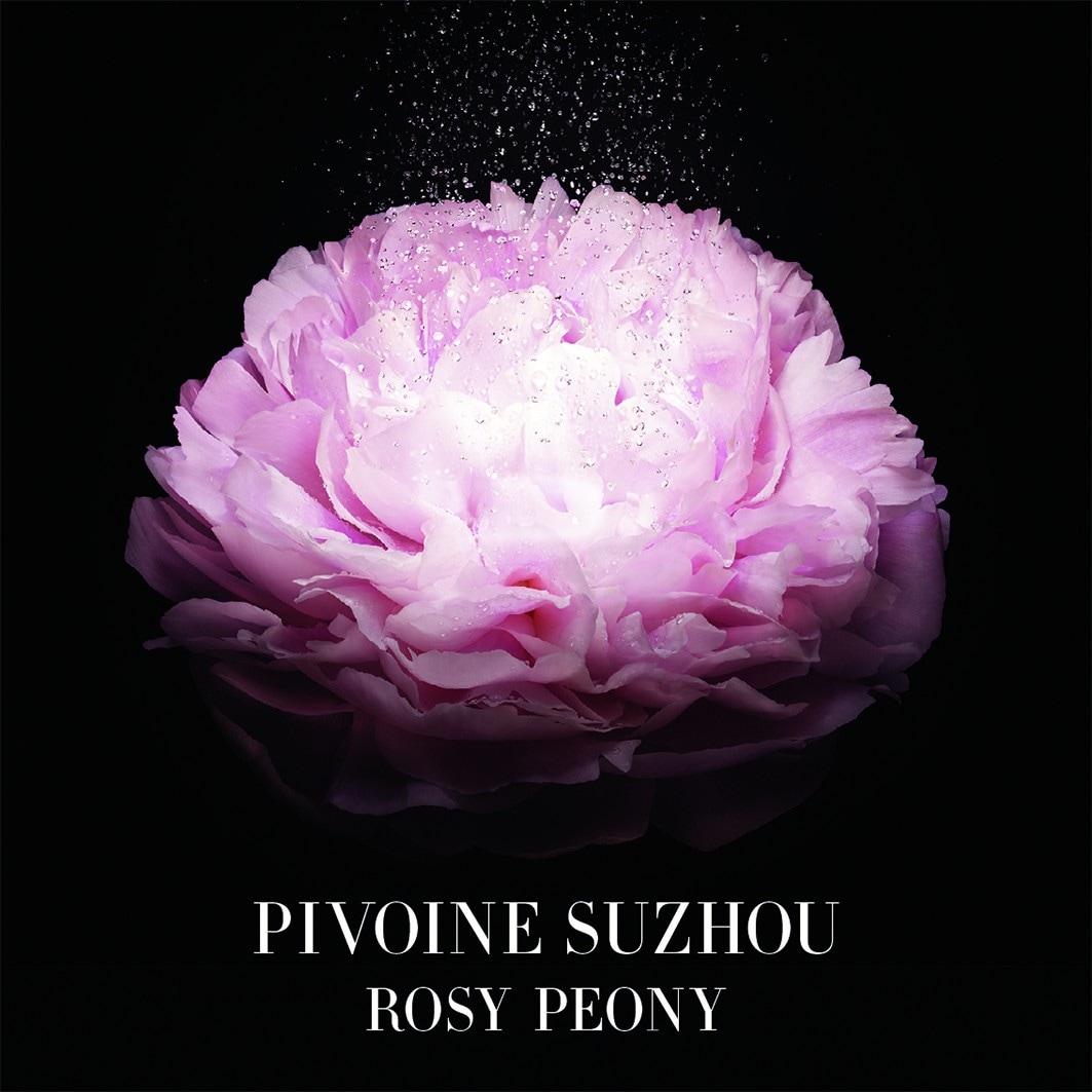 Pivoine Suzhou
