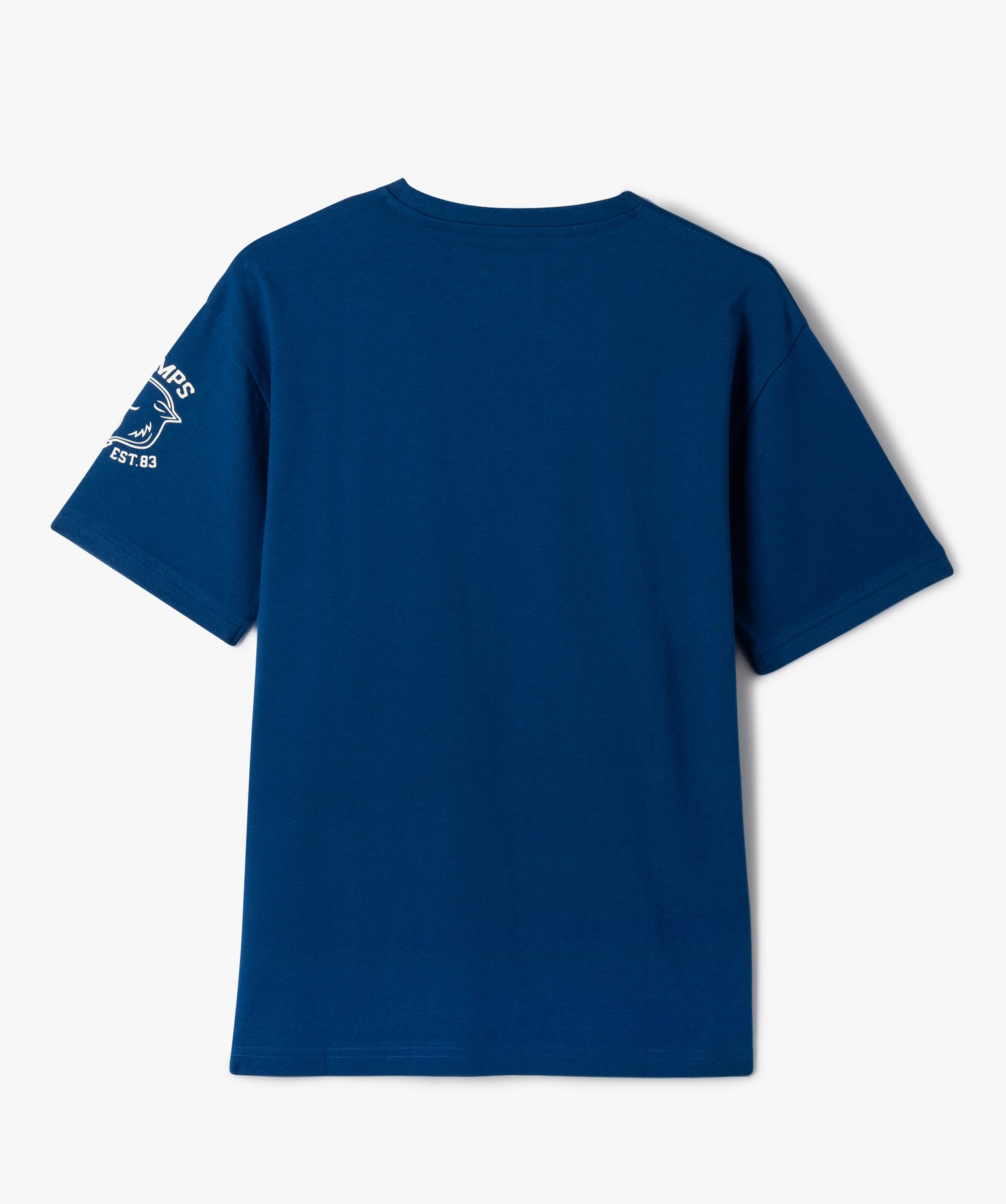 Tee-shirt à manches courtes avec motifs contrastants garo... bleu | GEMO