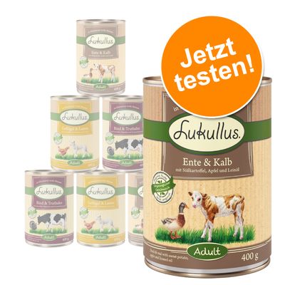 Lukullus Naturkost Getreidefreies Probierpaket 6 x 400 g