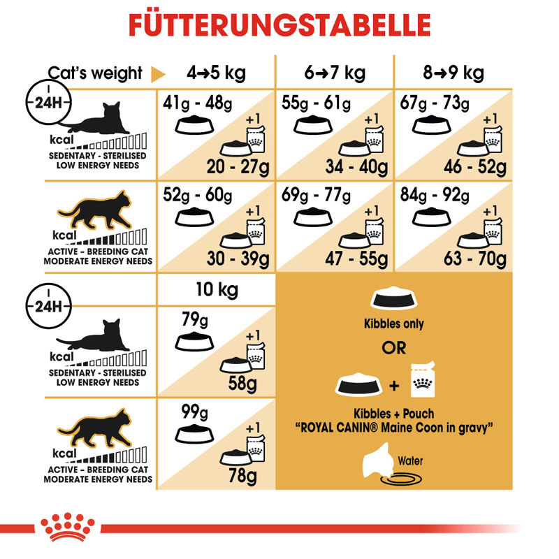 ROYAL CANIN Trockenfutter ROYAL CANIN Maine Coon Adult 400 g
