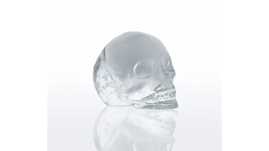 cilio Eiswürfelform Cranio
