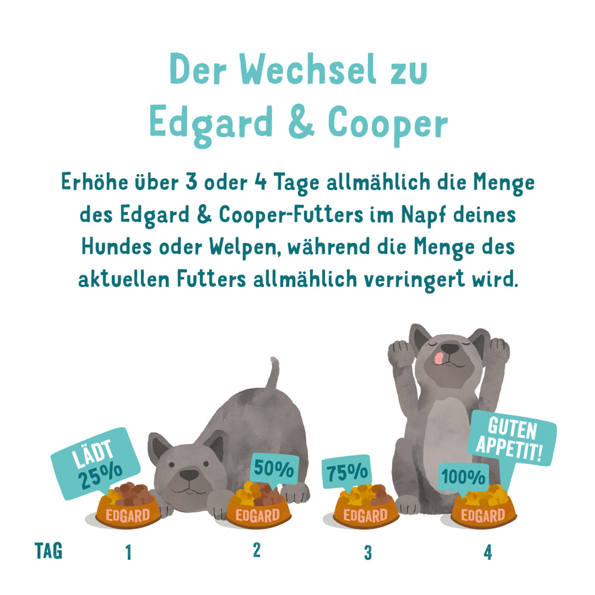 Edgard & Cooper Senior Huhn & Lachs günstig kaufen bei ZooRoyal