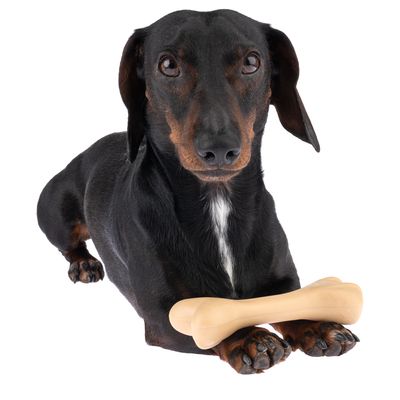 TIAKI Gummiknochen Hundespielzeug